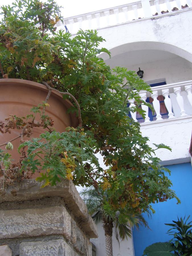 Anthemis Rooms Kokkari Exterior photo
